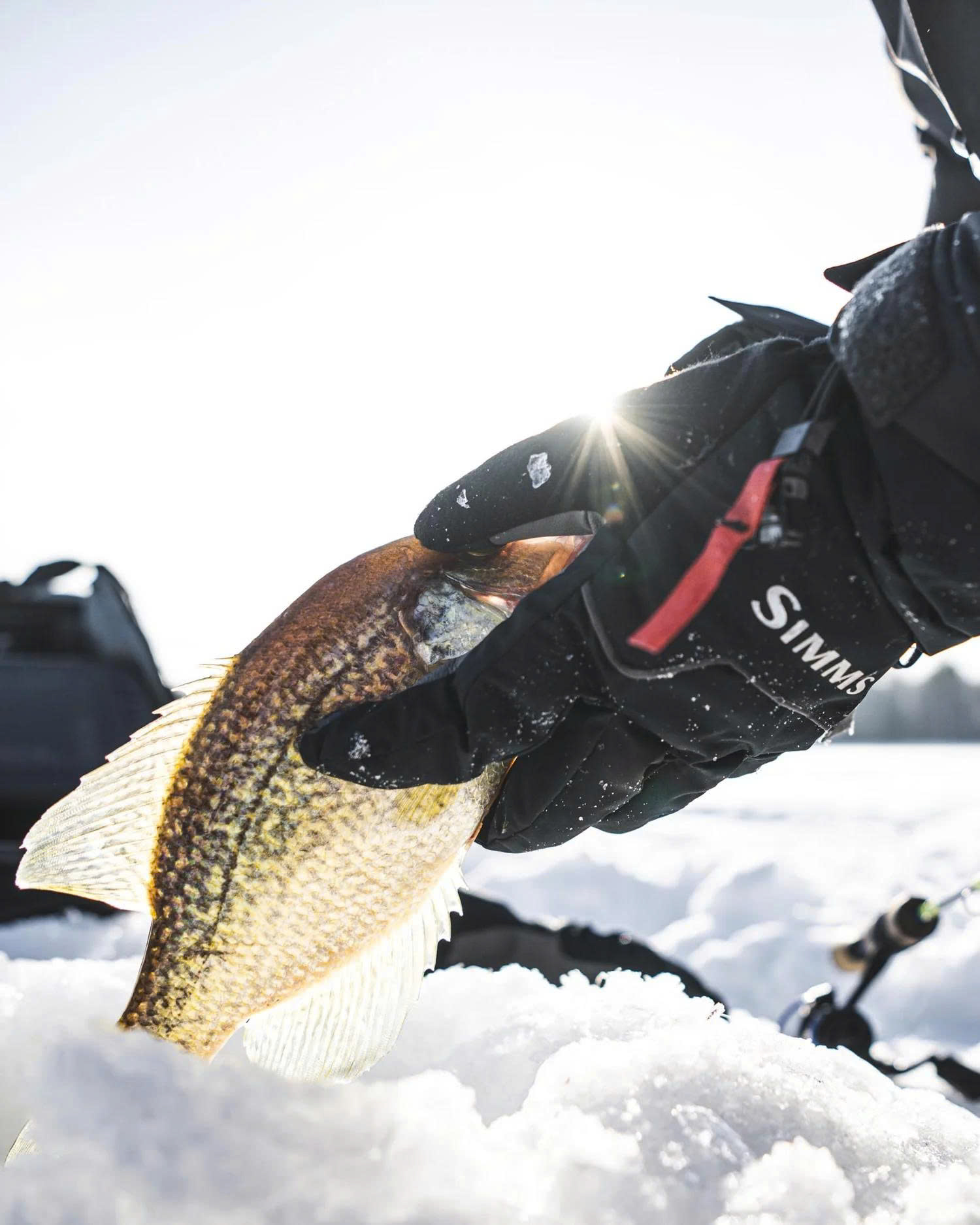 Simms Store -Simms Store z6772662294122 f1e7d6274574ce687196692dbf944749